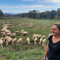 Una de les iniciatives de la qual forma l'Aina Roca gestiona un ramat d'ovelles.