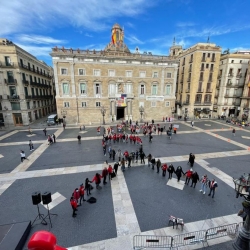 Llaços per la Sida a la Plaça Sant Jaume de Barcelona.