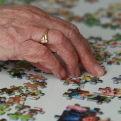 El 21 de setembre se celebra el Dia Mundial de l'Alzheimer.