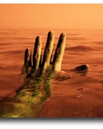 Mà sortint del mar. Premis Jove Proposa! 