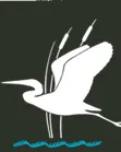 logo DEPANA