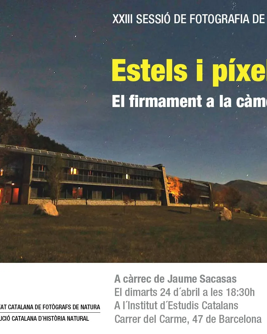 Cartell Estels i píxels: el firmament a la càmera