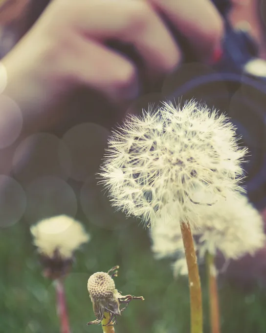 Make a Wish - Colton Witt Photography - Flickr Make a Wish - Colton Witt Photography - Flickr