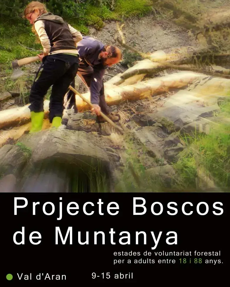 Cartell Projecte Boscos de Muntanya