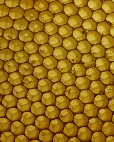 Panal d'abelles. Participació interna. Font: cruz_fr (Flickr)