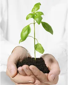 Implantació de sistemes voluntaris de gestió ambiental Implantació de sistemes voluntaris de gestió ambiental