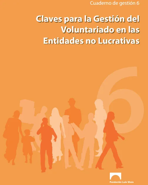 flv_-_claves-gestion-voluntariado.jpg