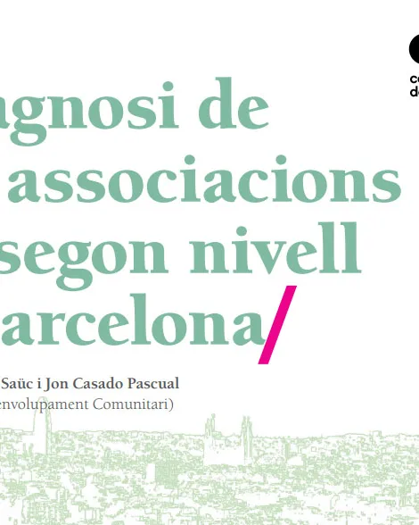 cab_-_diagnosi_associacions_2n_nivell.jpg