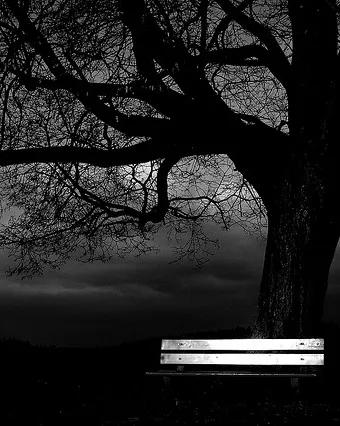 Arbre protegit amb una barana. Protecció_malavoda_Flickr