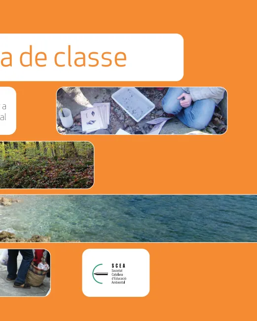 scea-crit-qualit-ed-amb.jpg