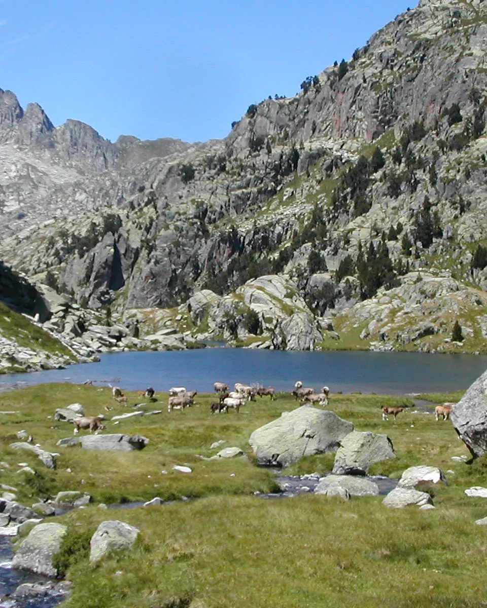 Aigüestortes i Estany de Sant Maurici