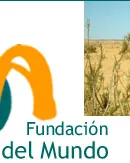 Fundació Ponts del Món Fundació Ponts del Món
