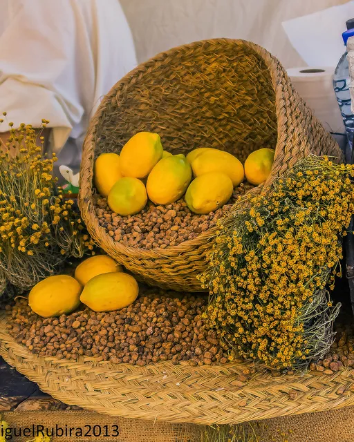 Agroalimentació_rubira2009_Flickr