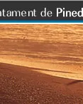 Ajuntament de Pineda de Mar