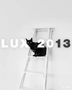 21a edició dels Premis de Fotografia Professional LUX 2013