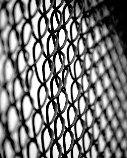 Protecció_DonkerDink_Flickr