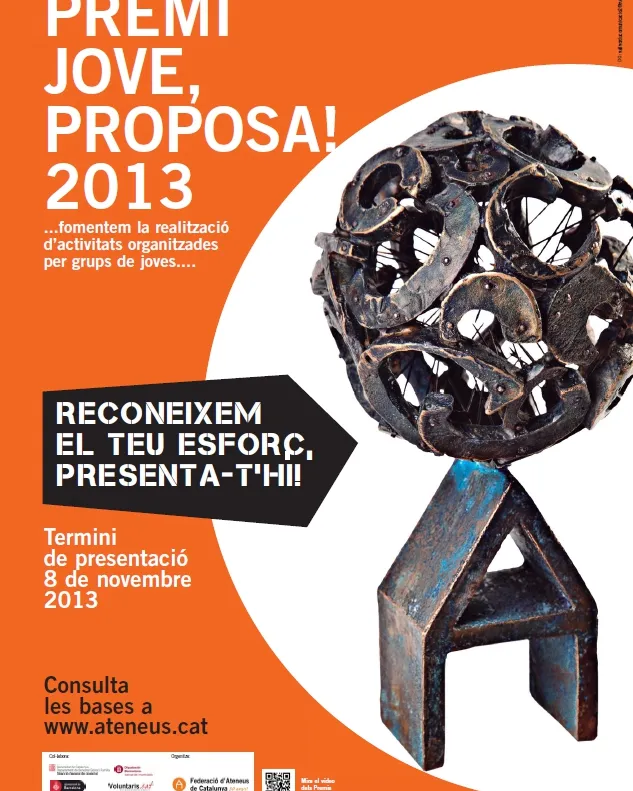 Premi Jove, proposa! 2013
