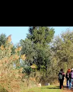 6a Marató ornitològica cooperativa al Delta del Llobregat (Imatge: SOS Delta)