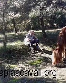 Font: Fundació Teràpia a Cavall