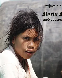 Amazònia: extractivisme i energia. Una mirada geopolítica