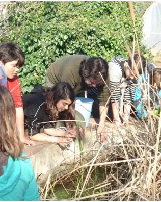 Projecte d'aprenentatge servei de l'Institut Bosc de Montjuïc.