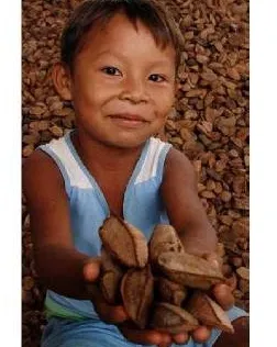 Cartell de la xerrada sobre l'Amazònia de la UPC