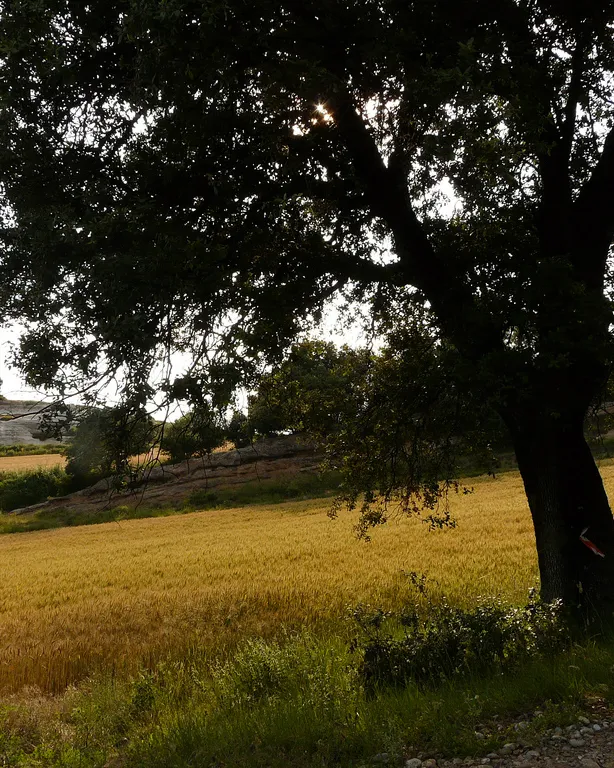 El Berguedà_albir_Flickr