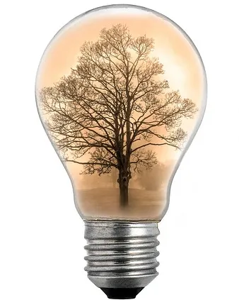 Ecoinnovation