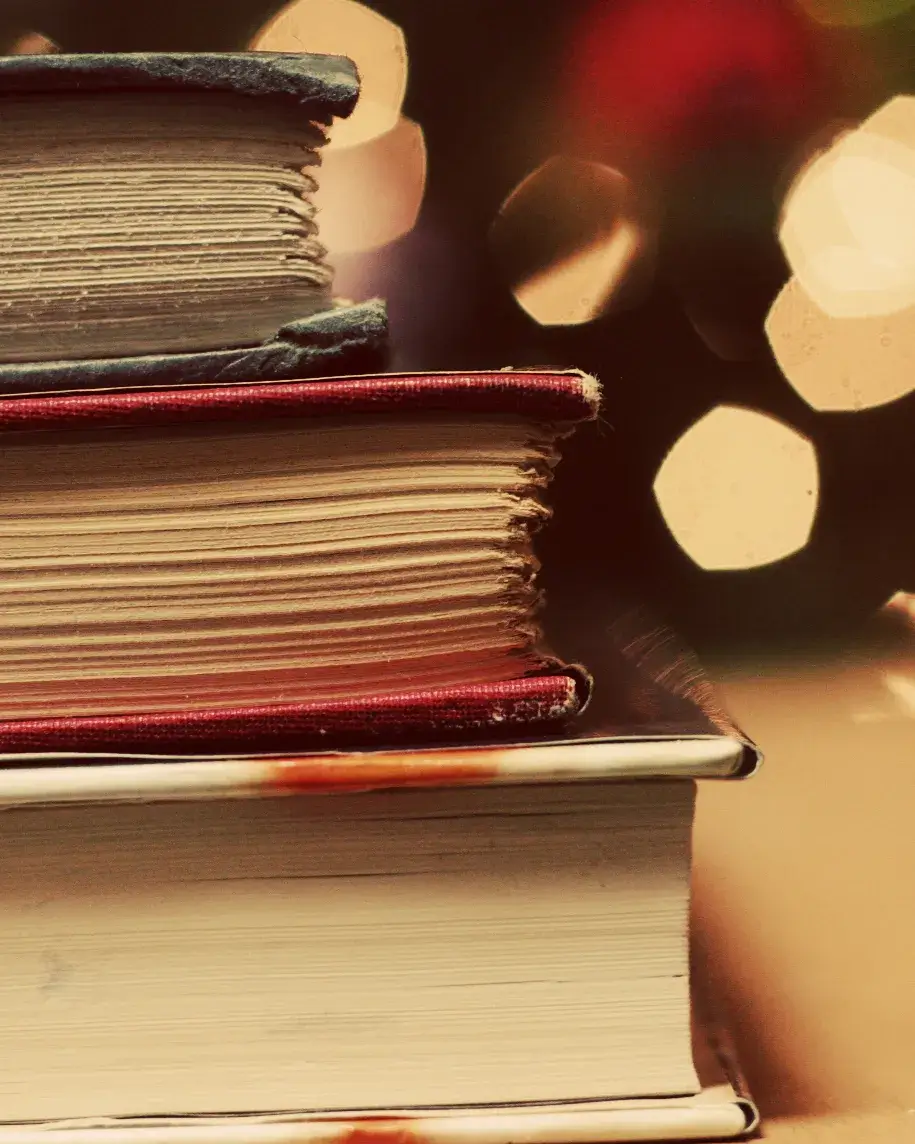 Llibres_Ginny_Flickr