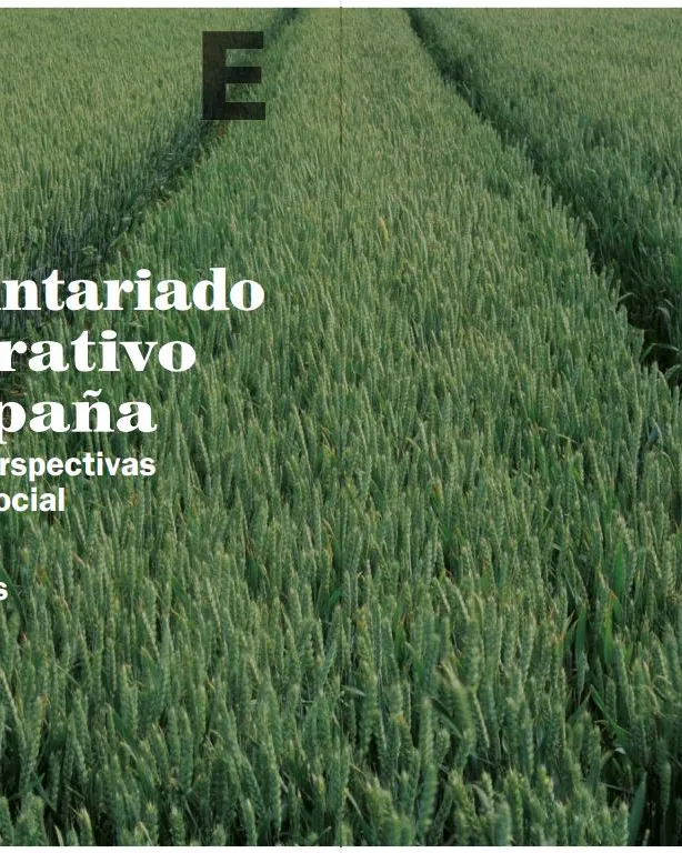 innovacions_social_voluntariado_corporativo_espana.jpg