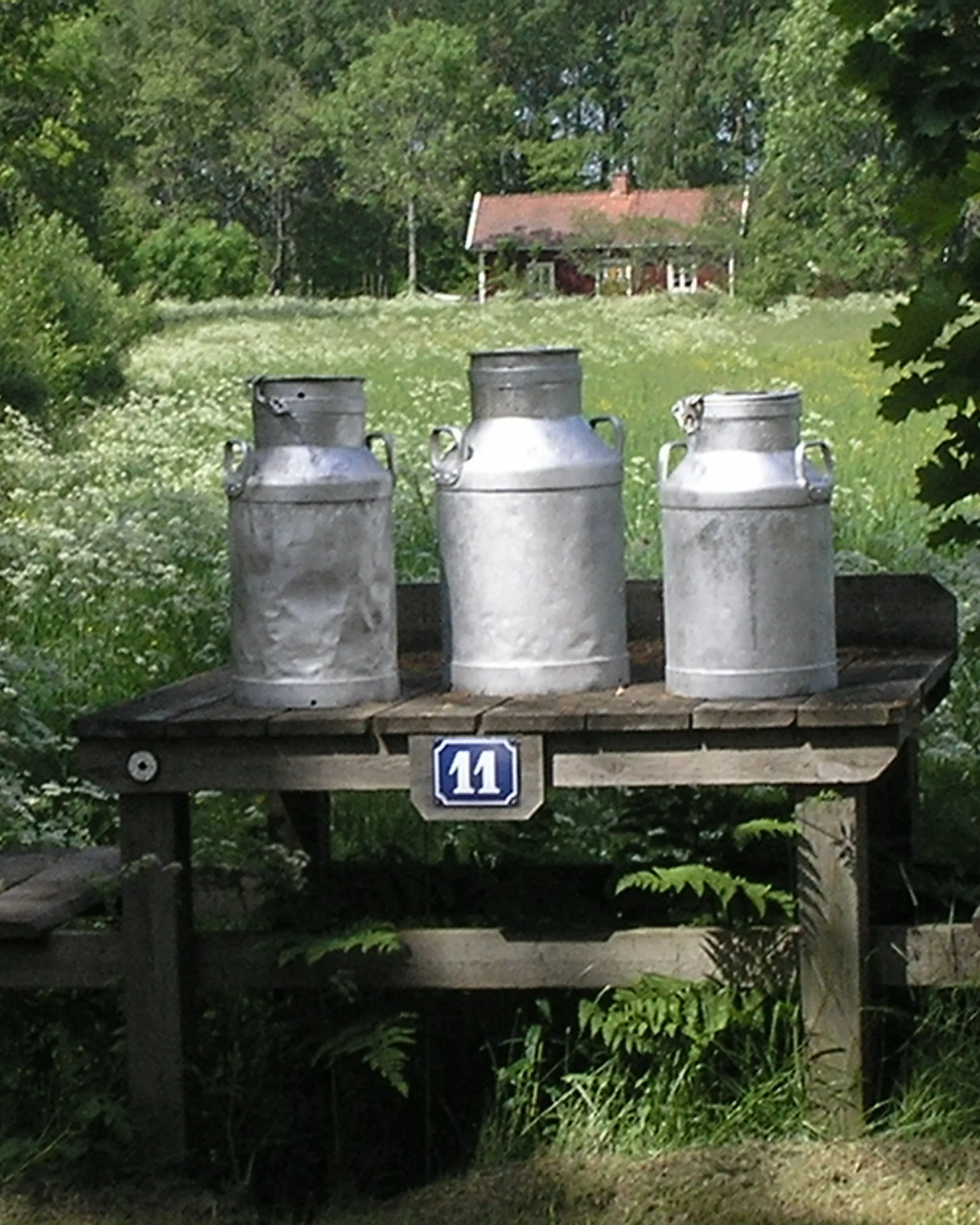 Llet. Font: ca.wikipedia.org