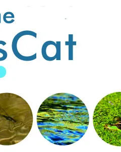 Informe RiusCat2014