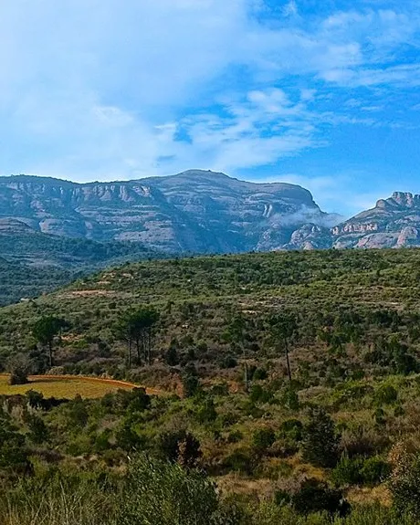 Entorn de Sant Llorenç Savall. Foto: Ajuntament de Sant Llorenç Savall.