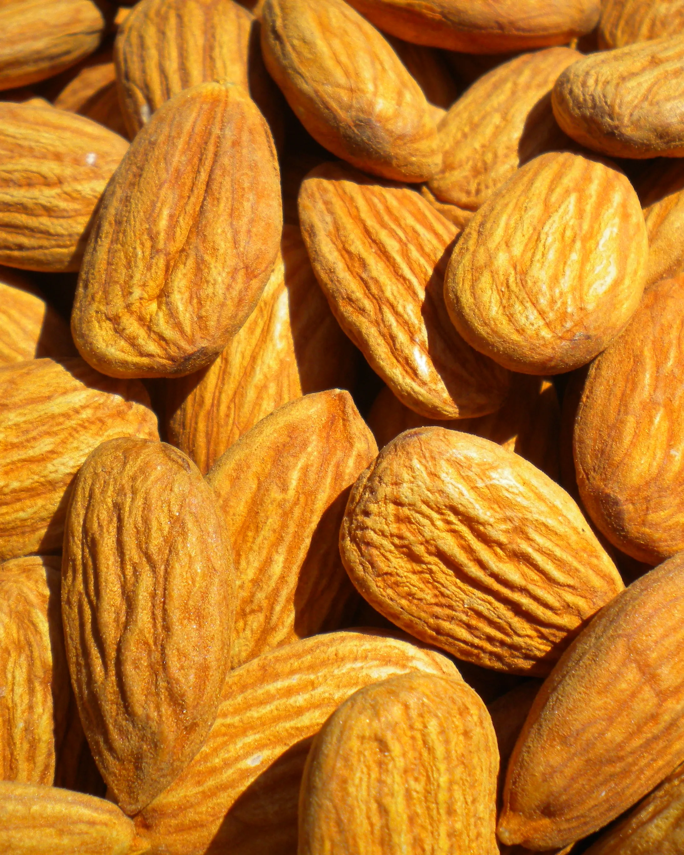 Almonds_HealthAliciousNess_Flickr