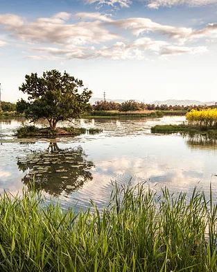 Foto guanyadora de Wiki Loves Earth 2014. L’estany del Cortalet. Aiguamolls de l’Empordà.