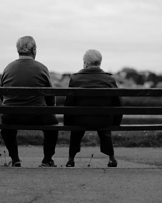 Avis_Abel Francés Quesada_Flickr