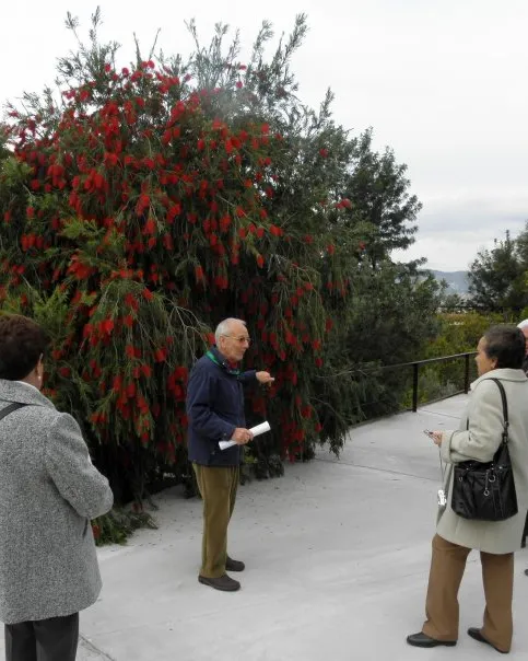 Els Amics del Jardí Botànic t'acompanyen en itineraris pel parc (imatge:amicsjbb.org)
