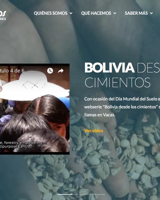 Pàgina web de Nous Camins. Font: Nous Camins