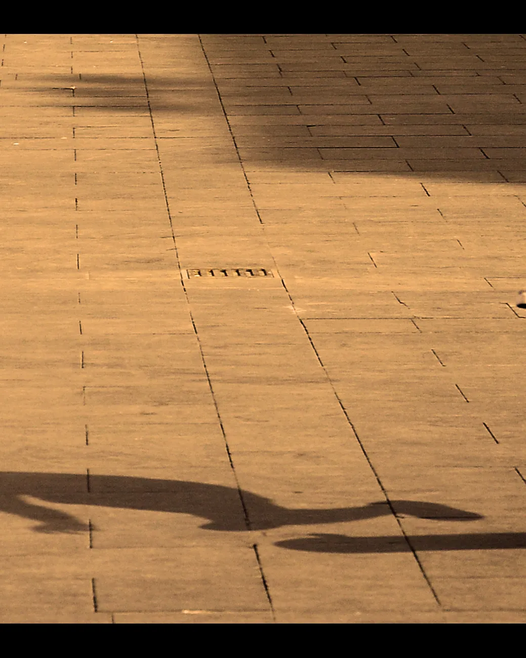 Jove saltant sobre un monopatí_Marc Bernat Madrid_Flickr