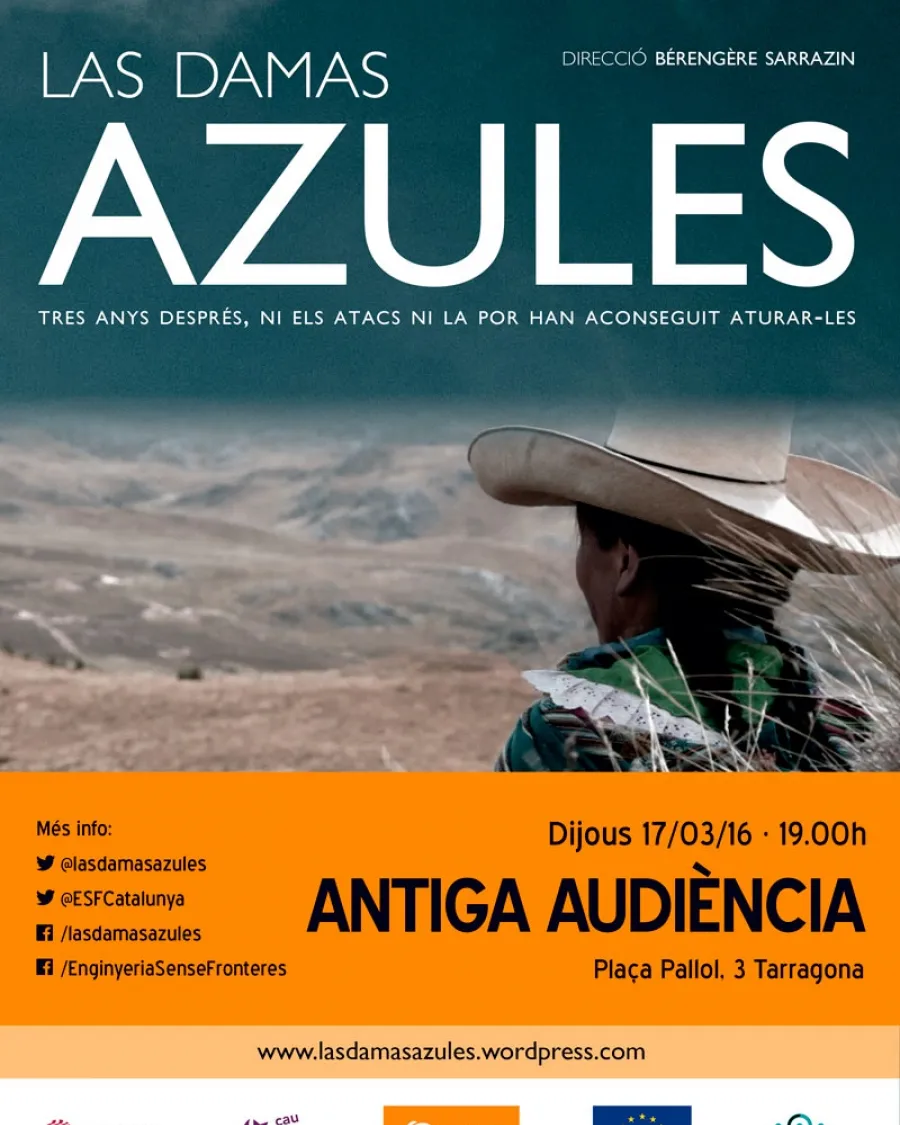 Imatge del cartell. Font: Enginyeria Sense Fronteres