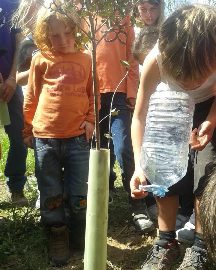 Festa de l'arbre a la riera de Gaià, amb l'Associació Mediambiental la Sínia (imtge:riugaia.cat)