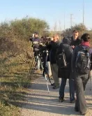 Desena marató ornitològica de Depana al Delta del LLobregat (imatge:Depana.org) 