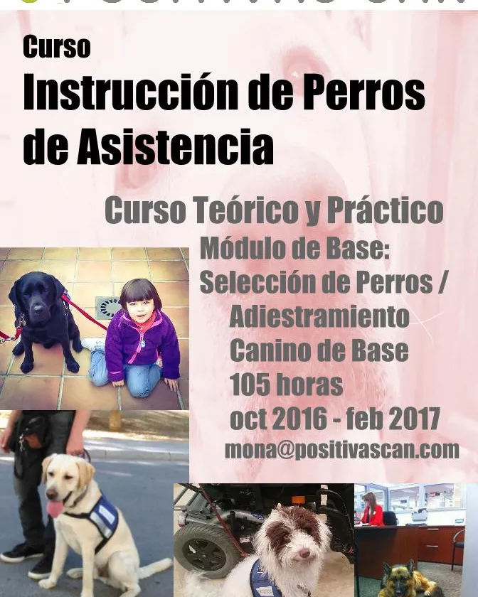 Curso Instrucción Perros de Asistencia