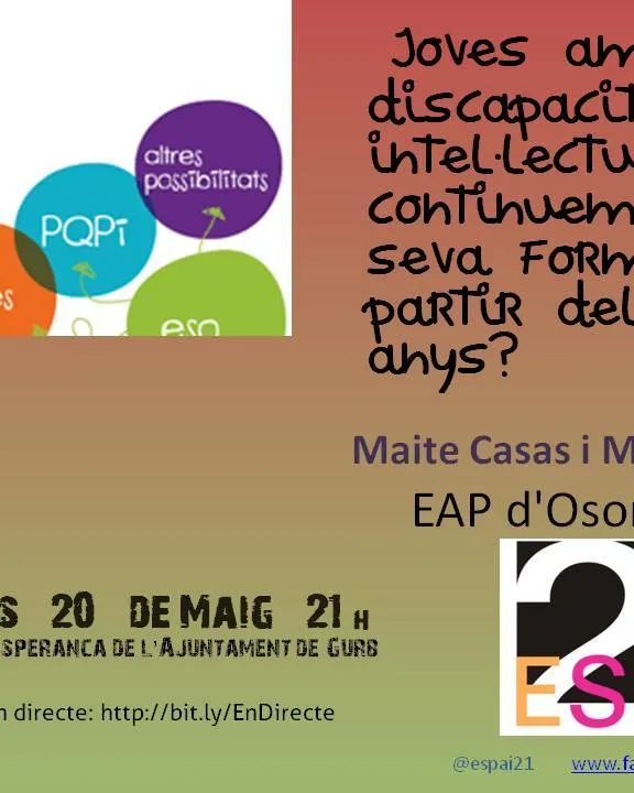 Xerrada Joves amb discapacitat intel·lectual / Font: Espai21