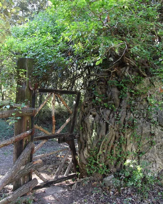 Testing de Biodiversitat a Alcover amb l'Associacio Cen (imatge: assoc-cen.org)