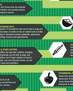 Curs online de Infografies per a les memòries de les entitats