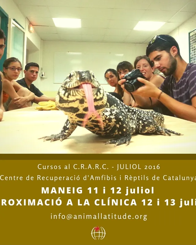 6º edició del curs de maneig de rèptils al Crarc, organitzat per Animal Latitude (imatge: animallatitude.org)