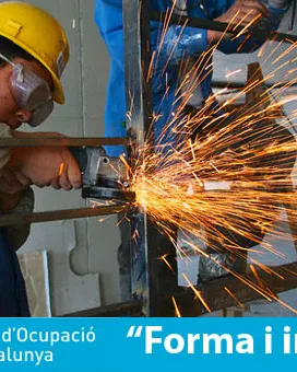 Programa Forma i Insereix 2016
