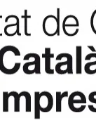 Institut Català de les Empreses Culturals
