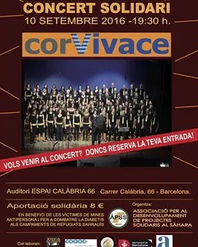 Cartell del concert solidari en suport al poble sahrauí. Font: APSS